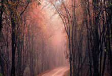 天博平台：英超2025年度积分榜：利物浦阿森纳布莱顿前三，热刺第16.