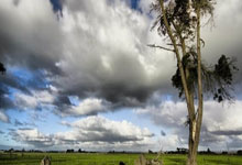 [足球之夜]20241221 规划 落实.