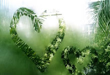 [足球之夜]20241221 规划 落实.