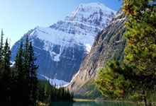 天博平台：字母哥28+7+4雄鹿狂胜残阵湖人 布朗尼17+3+5.