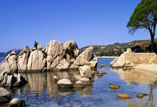 天博平台：英超2025年度积分榜：利物浦阿森纳布莱顿前三，热刺第16.